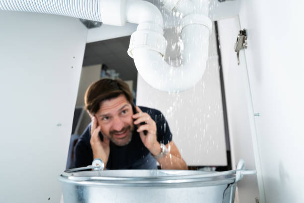 Best Affordable Plumber Near Me  in Brooksville, MS